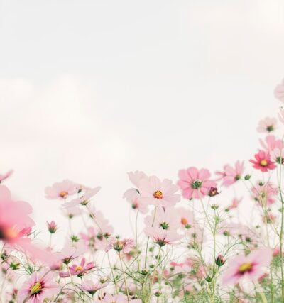 [001] A New Start of Sorts